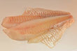 Fresh Acadian Redfish