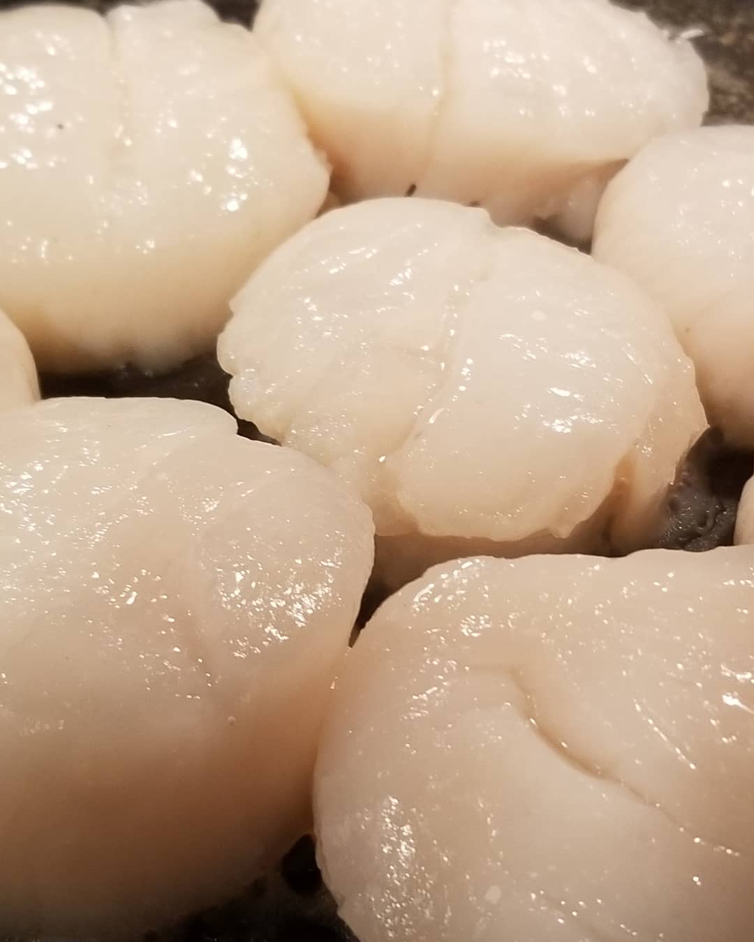 U10 Dry Deep Sea Scallops (New Bedford, MA) Seafood Express