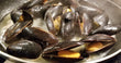 Newfoundland Wild Mussels